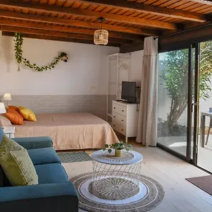 https://mini-loft-tesa.puertodelcarmen-hotels.org