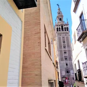 ¡en Frente De La Giralda-catedral! Apartamento